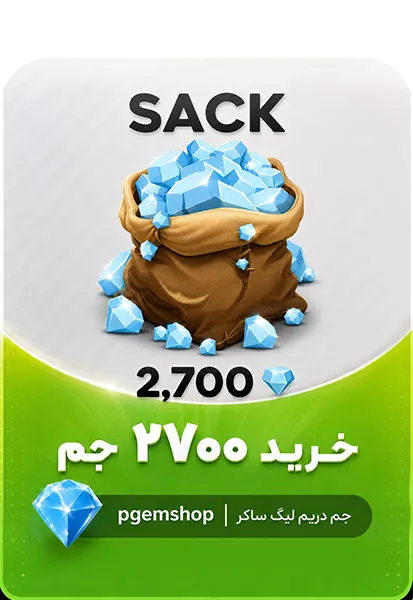 2700 جم دریم لیگ ساکر | پیجم شاپ